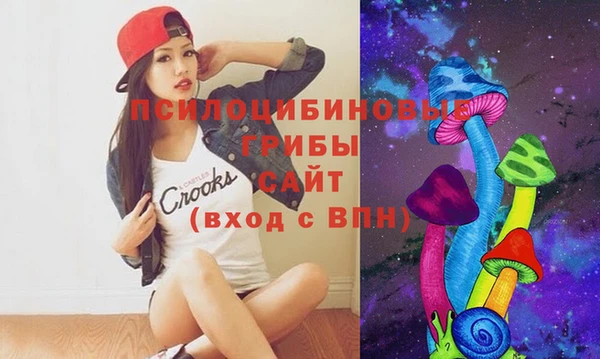 apvp Костерёво
