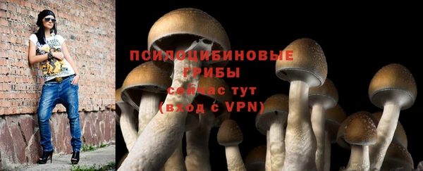 крисы Козельск